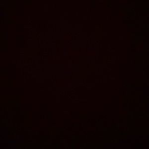 Meet your Posher, Susie